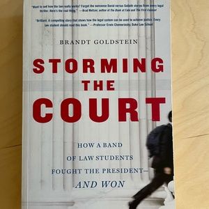 Storming the Court by Brandt Goldstein